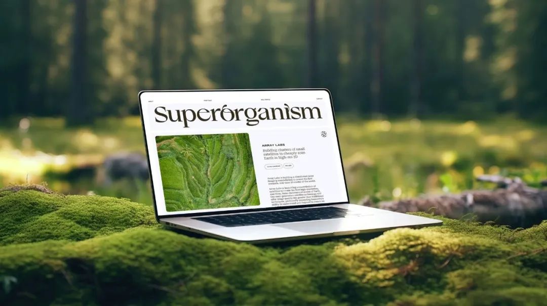 2024平面設(shè)計(jì)趨勢(shì)公布，新的合作方式和商業(yè)模式