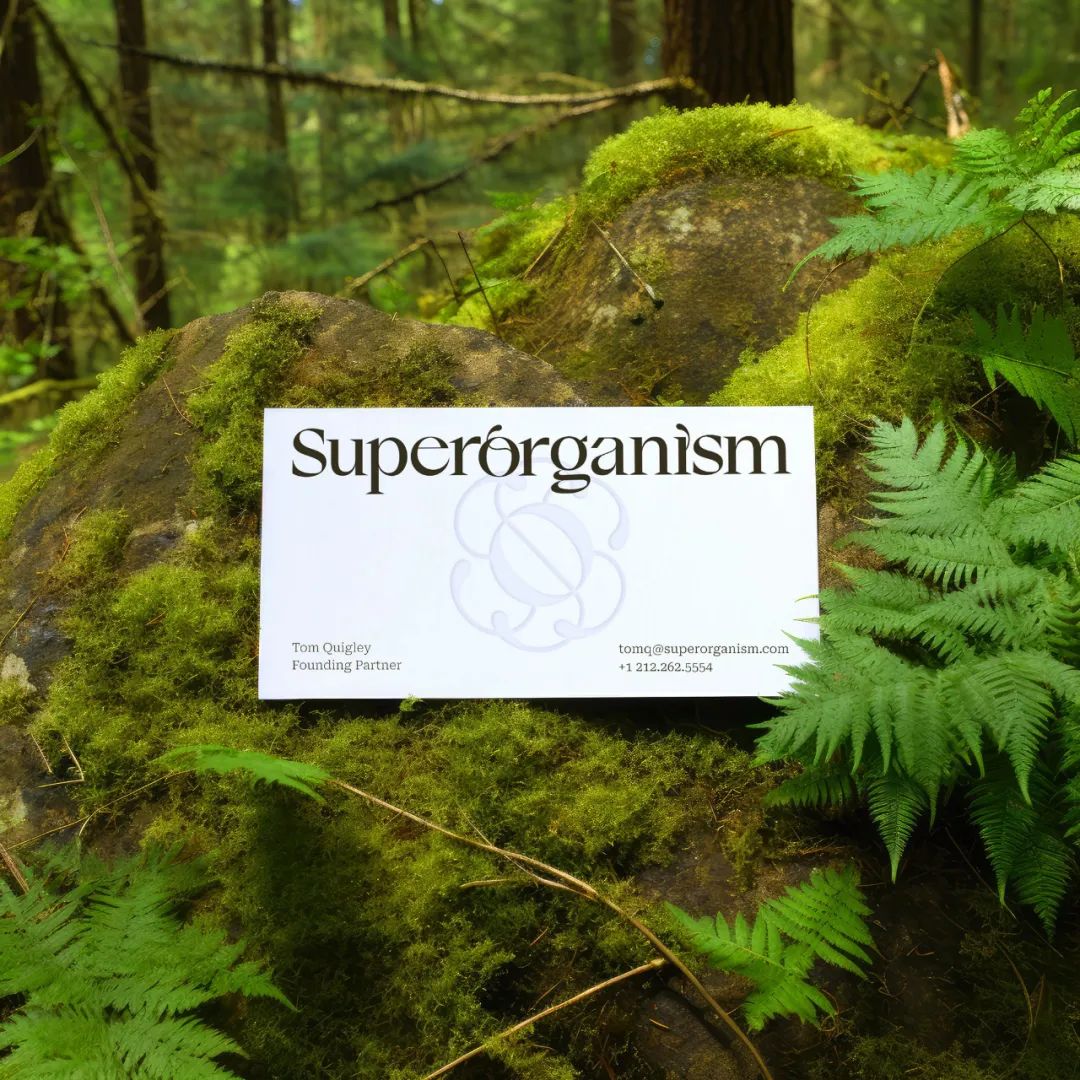 2024平面設(shè)計(jì)趨勢(shì)公布，新的合作方式和商業(yè)模式